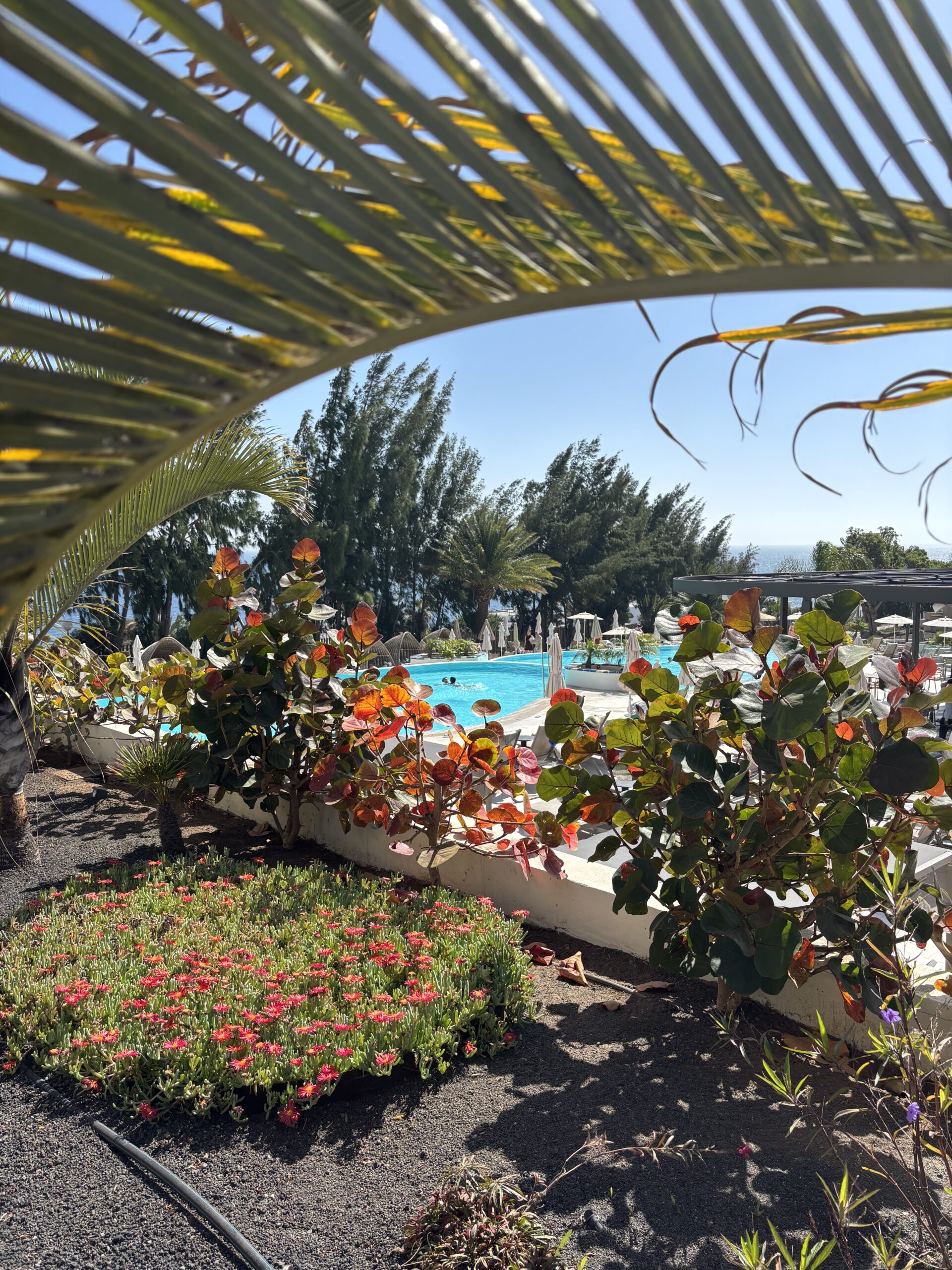 Swimming pool and gardens at Barceló Lanzarote Active Resort