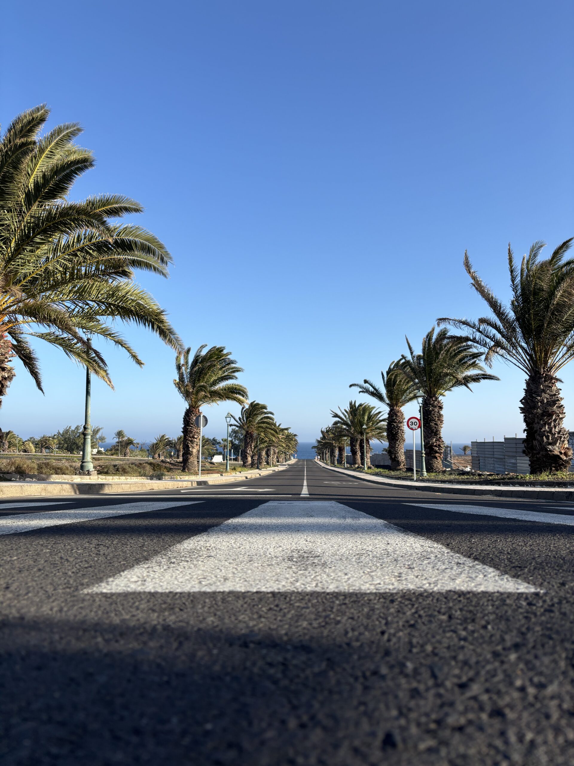 Palm-lined road in Lanzarote under a blue February sky